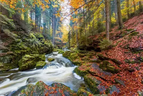 Údolí Doubravy